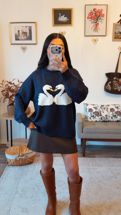 Swan Lake Navy Sweater