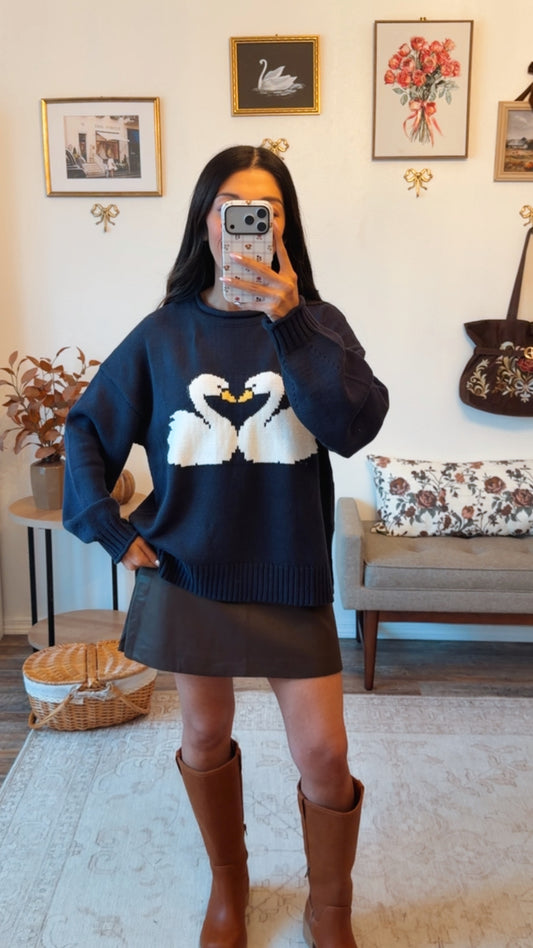 Swan Lake Navy Sweater
